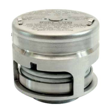 2.5"BSP MAXI FTYT 4.4BAR