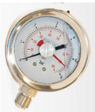 PRESSURE GAUGE, 2.5" DIAMETER, 0-10 BAR, 1/4"BSP CONNECTION, STAINLESS HOUSING, TELL TALE