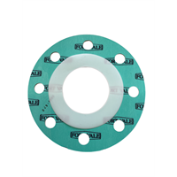 PTFE/CNAF GASKET ASSY - 8 HOLE ON 160MM PCD