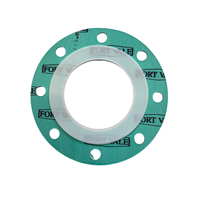 CNAF / PTFE ENVELOPE GASKET FOR BUTTERFLY VALVE WITH TW80 DRILLING