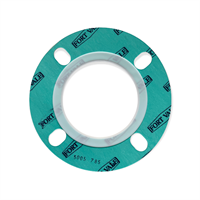 CNAF/PTFE ENVELOPE GASKET - 4 SLOTTED HOLES