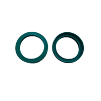 2" HYPALON GASKET WITH LIP FOR MK50 TW COUPLING - GREEN